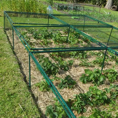 1' 6" High x 8' Wide Fruit & Vegetable Cage