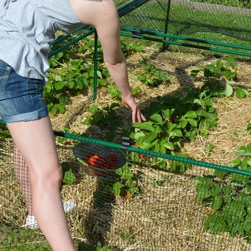 1' 6" High x 8' Wide Fruit & Vegetable Cage