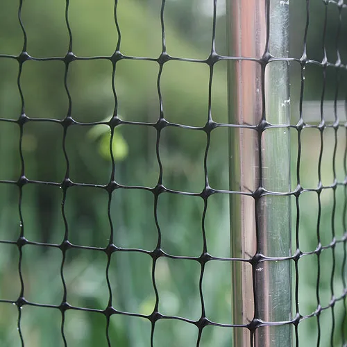 2m Wide Bird Netting per metre