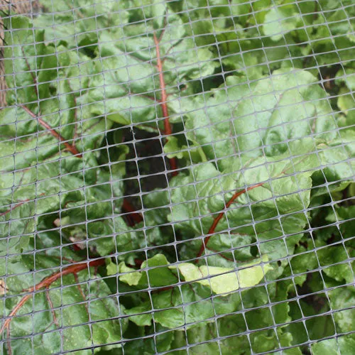 2m Wide Bird Netting per metre
