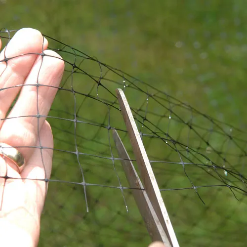 4m Wide Bird Netting per Metre