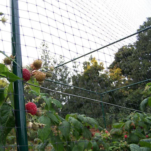 4m Wide Bird Netting per Metre
