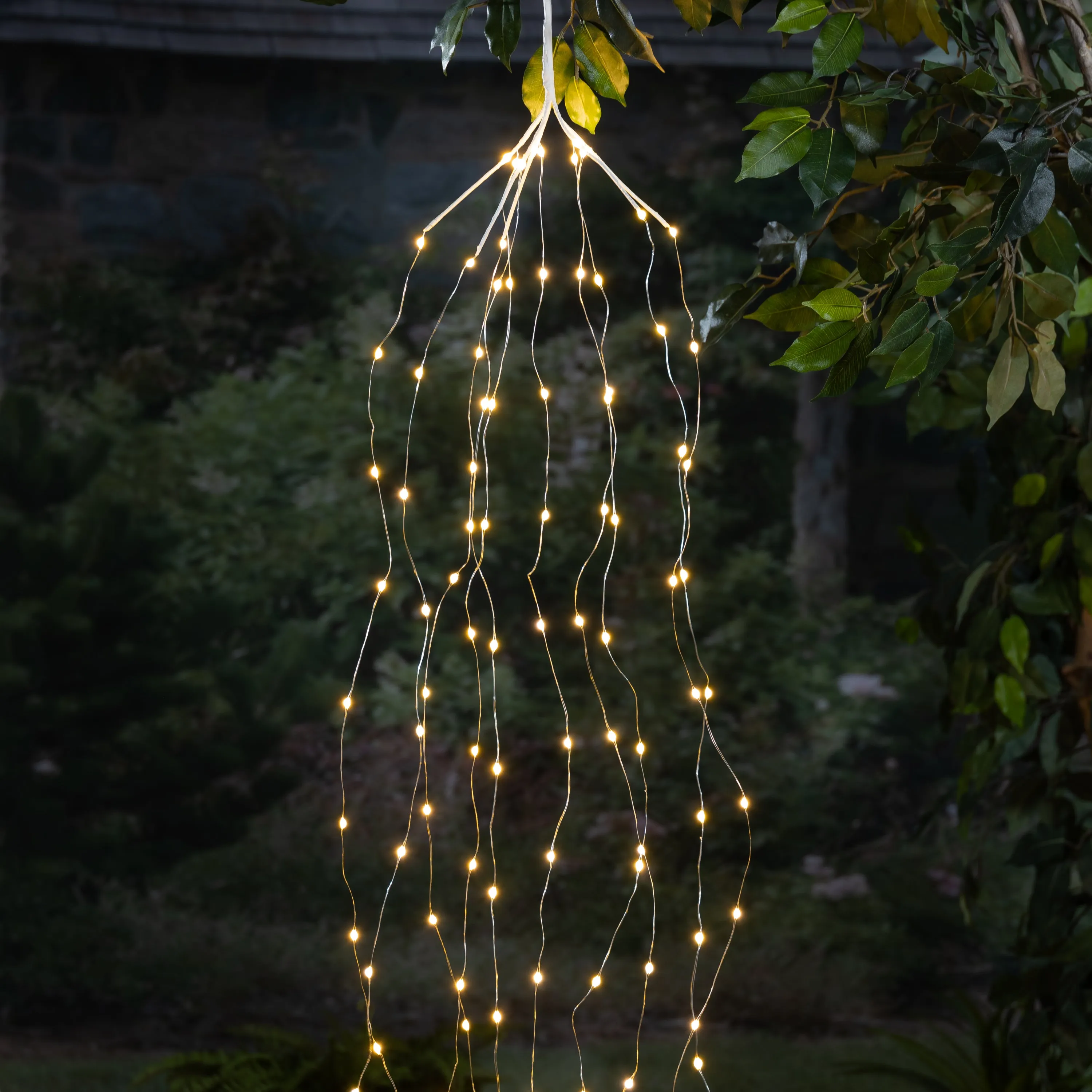 6 Foot Long Weeping micro LED Light String, Electric