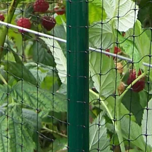 Deluxe 4' High Vegetable Cage