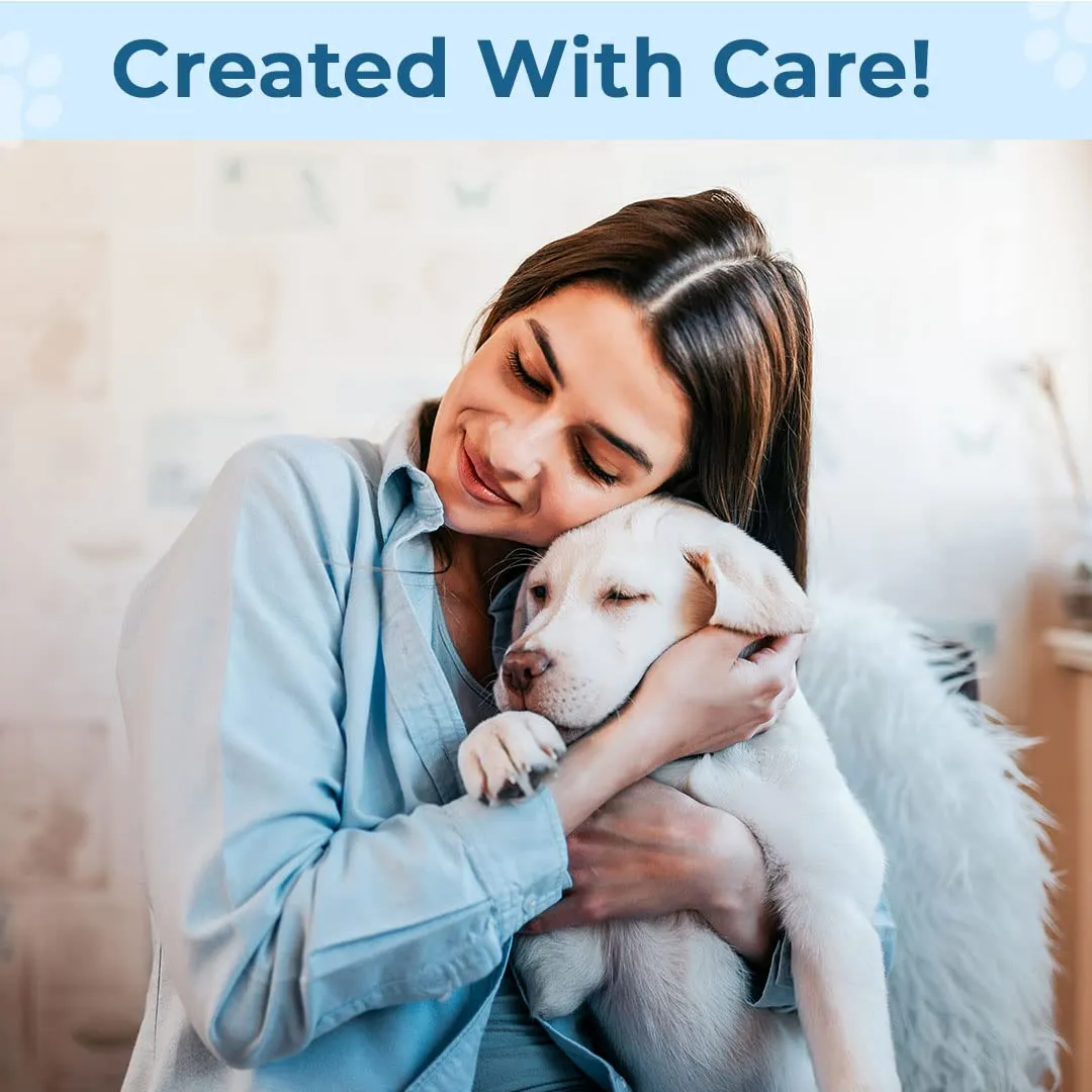 Kuber Industries Rectangular Dog & Cat Bed|Multi-Utility Self-Cooling Pad For Dog & Cat|Light-weight & Durable Dog Bed|ZQCJ001LB-XL|Light Blue
