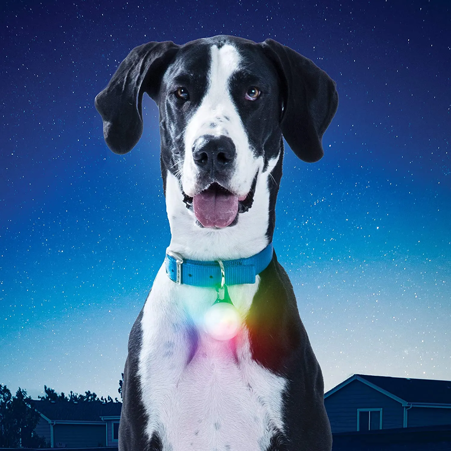 Nite Ize SpotLit Rechargeable Collar Light Jewel