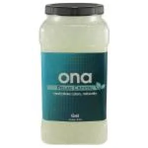Ona Gel Polar Crystal Gallon Jar (4/Cs)