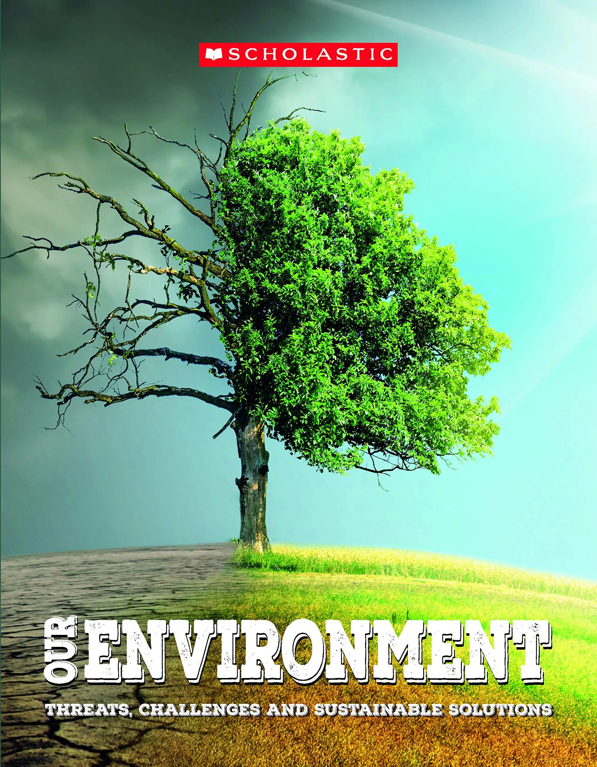 OUR ENVIRONMENT THREATS CHALLENGES AND SUSTAINABLE SOLUTIONS