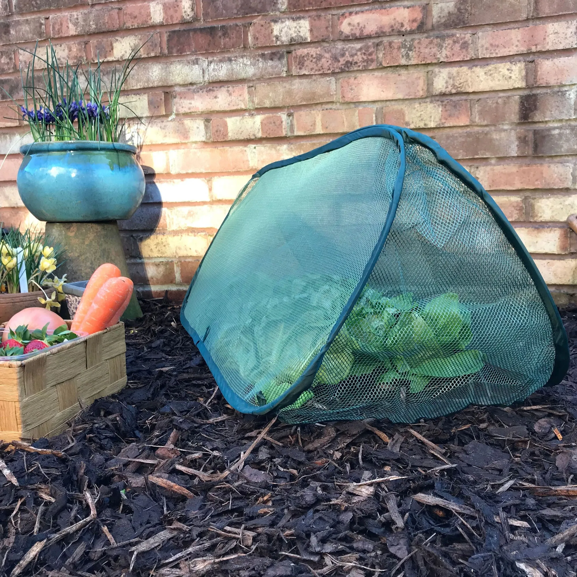 Pop Up Mini Grow Triangular Tunnel & Vegetable Bed Cover