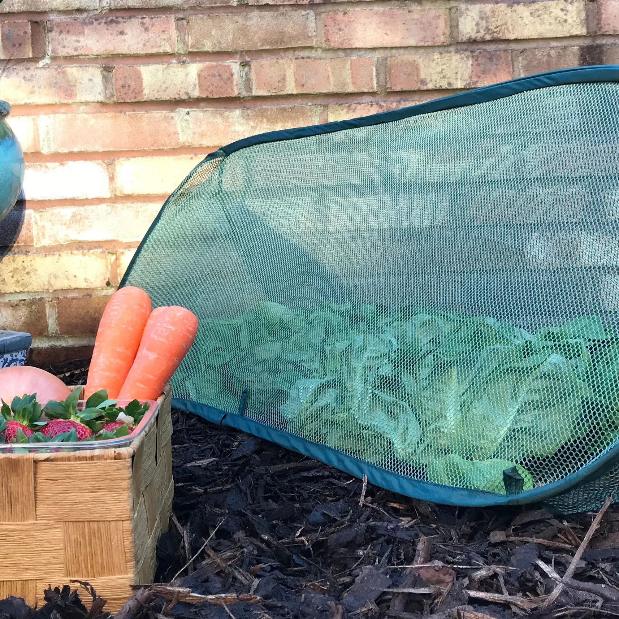 Pop Up Mini Grow Triangular Tunnel & Vegetable Bed Cover