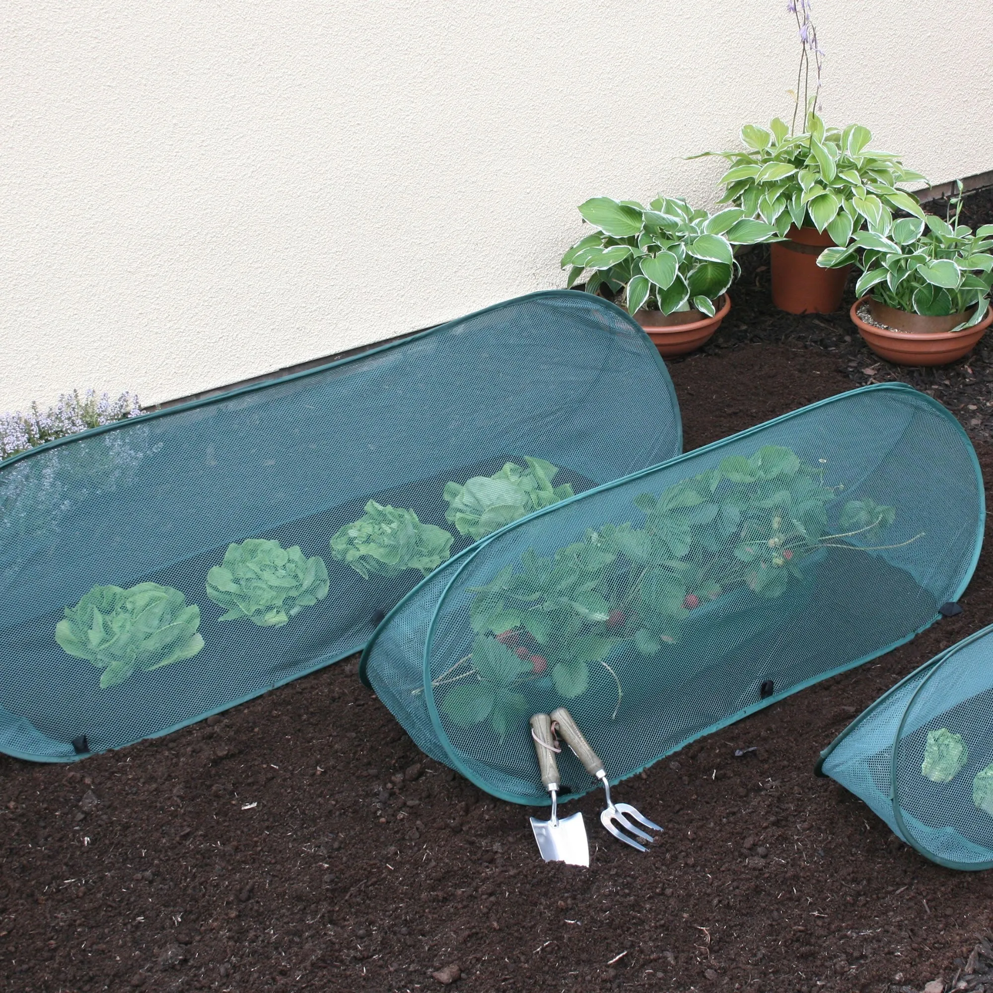 Pop Up Mini Grow Triangular Tunnel & Vegetable Bed Cover