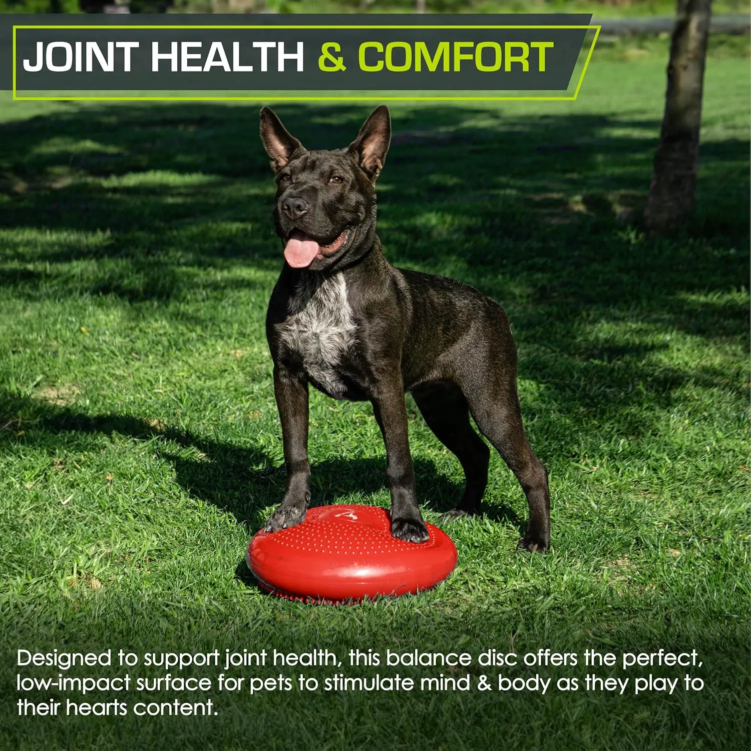 ProsourceFit Core Balance Disc Trainer, 14 Diameter with Pump for Improving Posture, Fitness, Stability