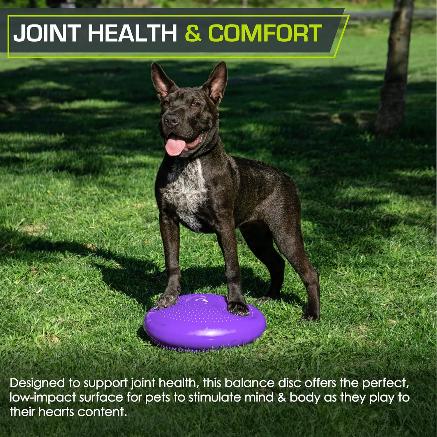 ProsourceFit Core Balance Disc Trainer, 14 Diameter with Pump for Improving Posture, Fitness, Stability