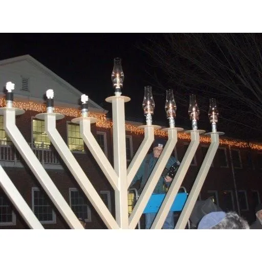 Public Electric Menorah 9 Foot Tall