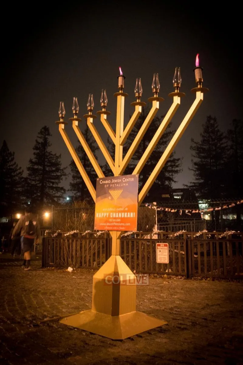 Public Electric Menorah 9 Foot Tall